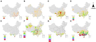 Quantitative analysis of the spatial diversity of Moraceae in China